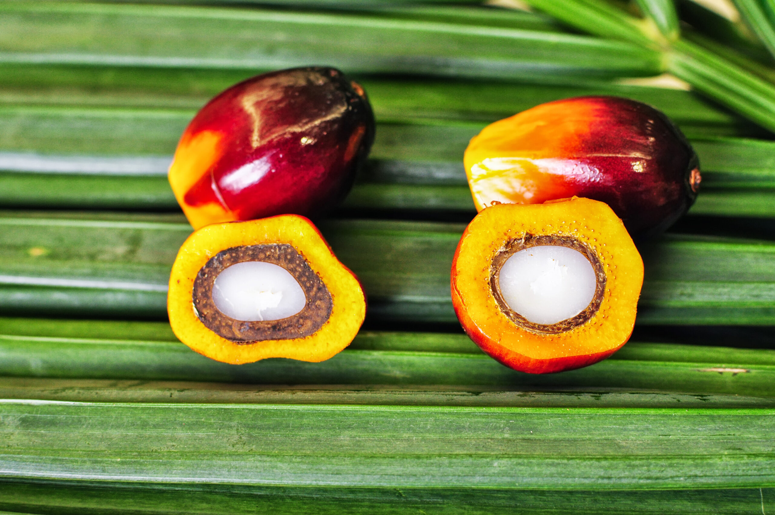 Palm Oil Use